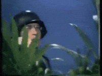3s5L.gif