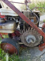 Lawn2.webp