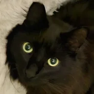 Mr. Winston