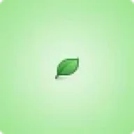 nodle