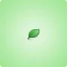 nodle