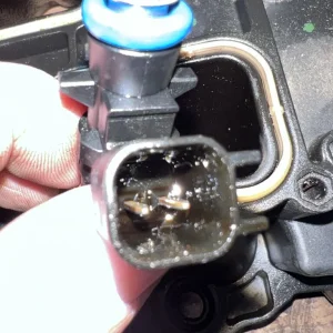 Fuel leaked into injector boot?