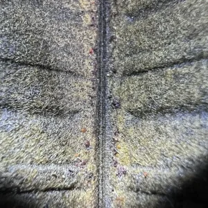 IMG_3473.jpeg