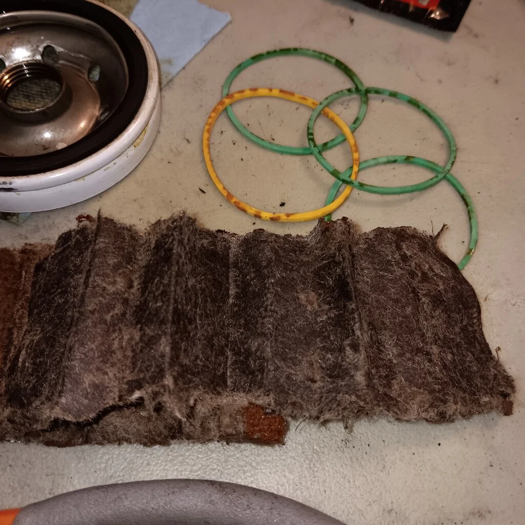 20240828_164006.jpg
