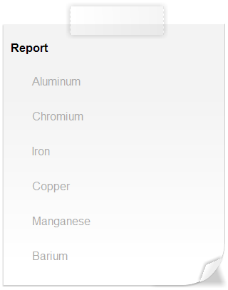 report-icon
